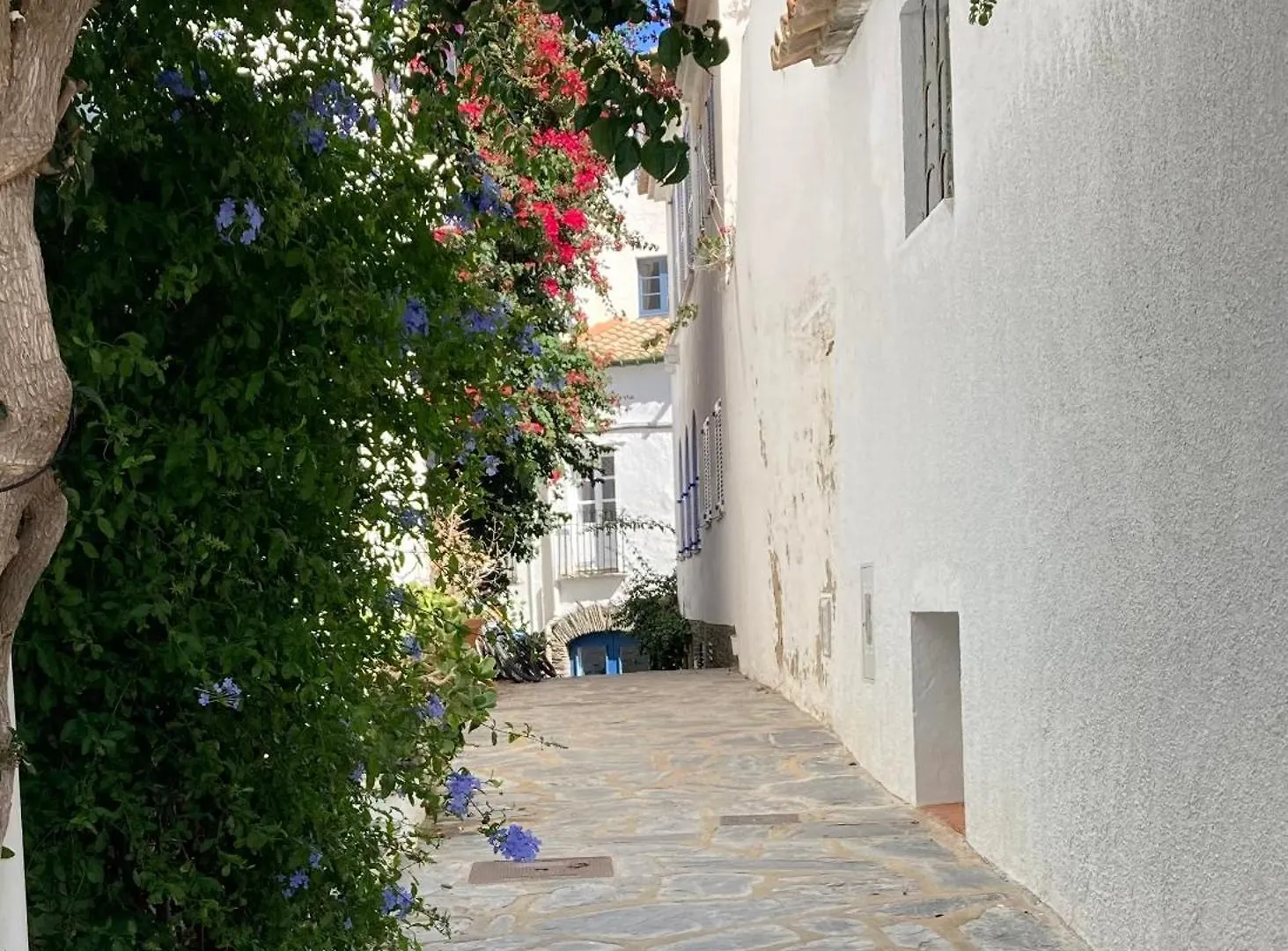 Appartement Apartamento Palau Cadaqués